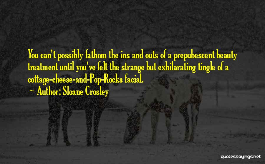 Crosley Quotes By Sloane Crosley