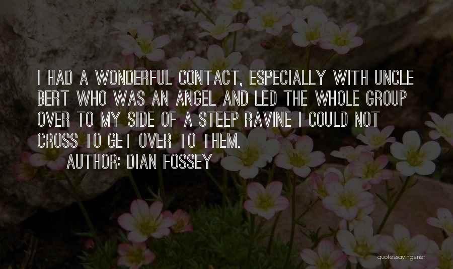 Cross And Quotes By Dian Fossey