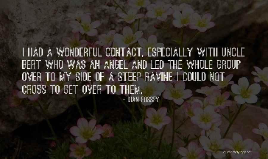 Cross And Quotes By Dian Fossey