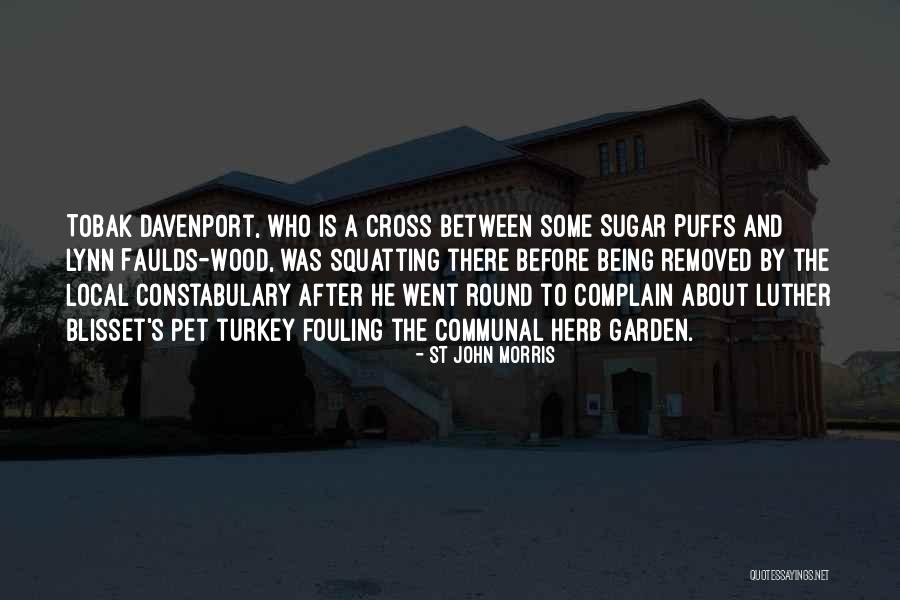 Cross And Quotes By St John Morris