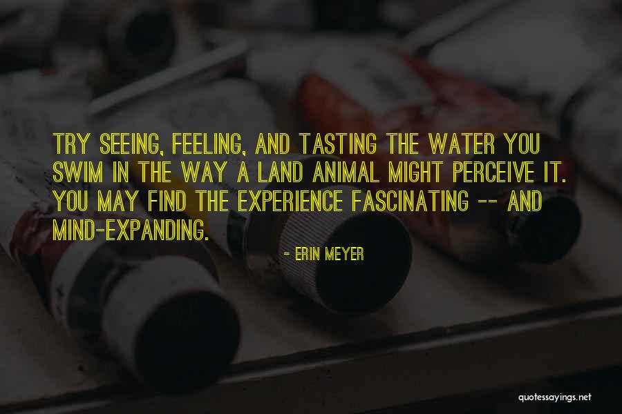 Cross-cultural Understanding Quotes By Erin Meyer Cross-cultural Understanding Quotes By Erin Meyer