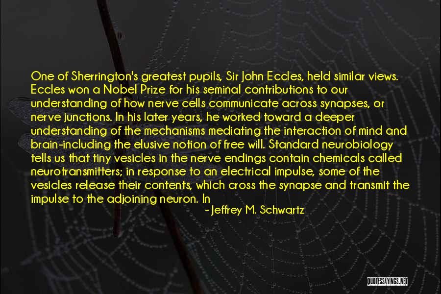 Cross-cultural Understanding Quotes By Jeffrey M. Schwartz Cross-cultural Understanding Quotes By Jeffrey M. Schwartz