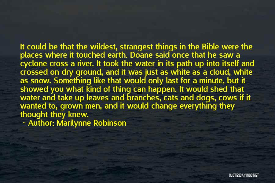 Cross In Bible Quotes By Marilynne Robinson