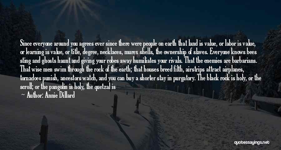 Cross Necklaces Quotes By Annie Dillard