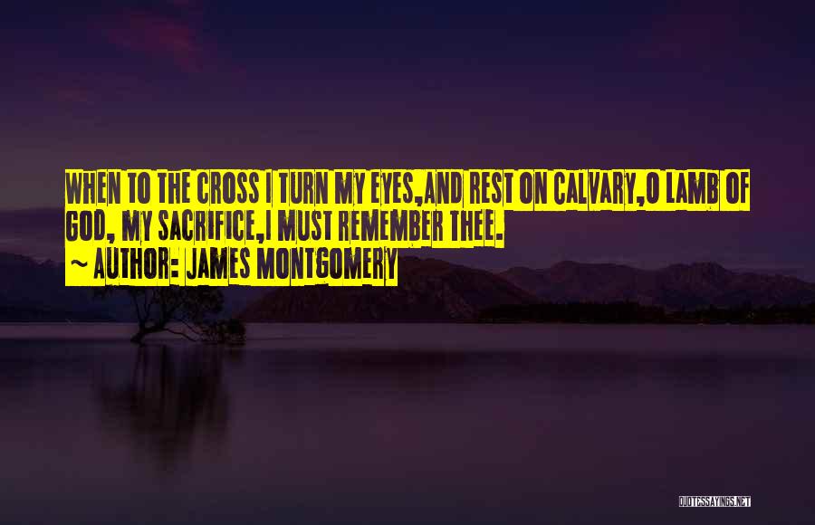 Cross Of Calvary Quotes By James Montgomery