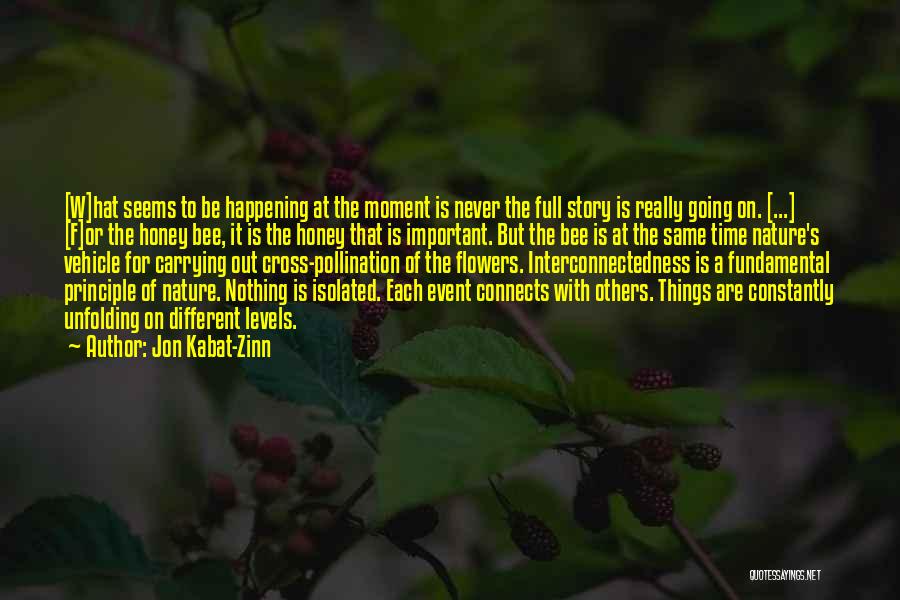 Cross Pollination Quotes By Jon Kabat-Zinn