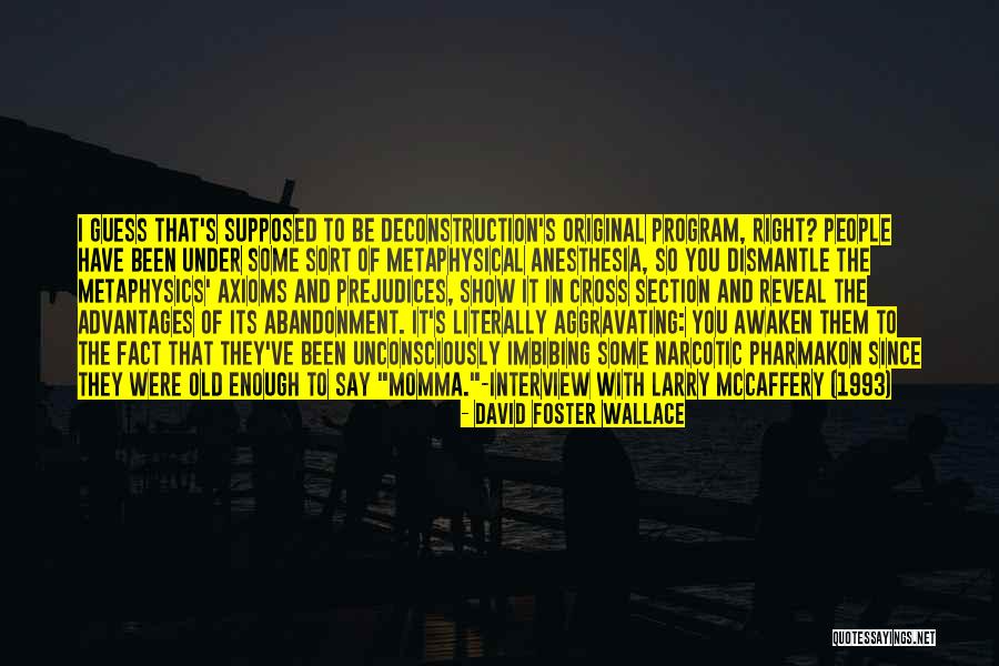 Cross Section Quotes By David Foster Wallace Cross Section Quotes By David Foster Wallace