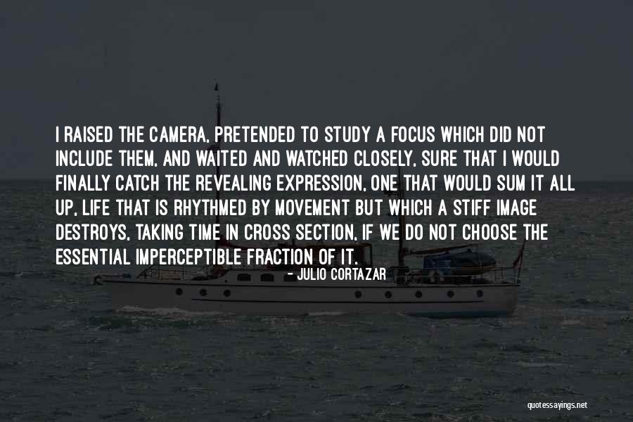 Cross Section Quotes By Julio Cortazar Cross Section Quotes By Julio Cortazar