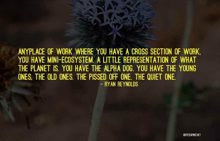 Cross Section Quotes By Ryan Reynolds Cross Section Quotes By Ryan Reynolds