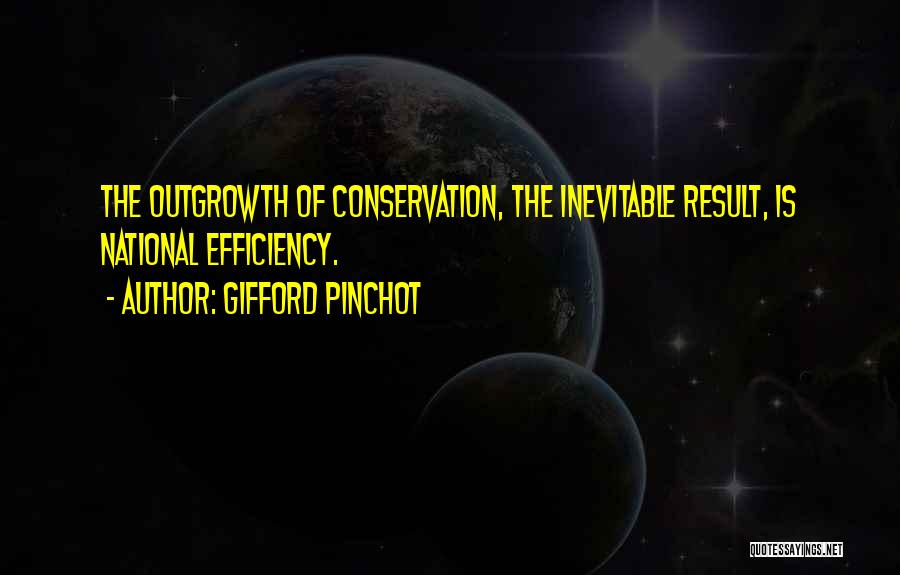 Cross Site Scripting Double Quotes By Gifford Pinchot