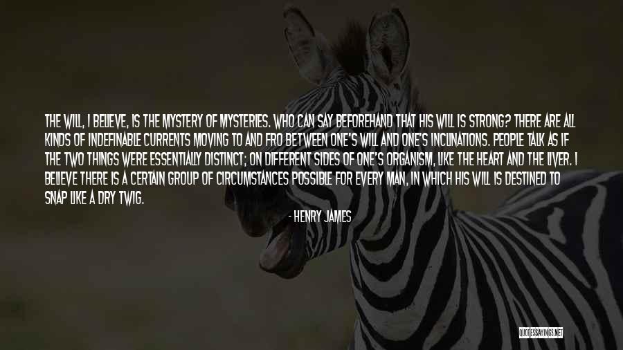Crossbar Dent Quotes By Henry James Crossbar Dent Quotes By Henry James