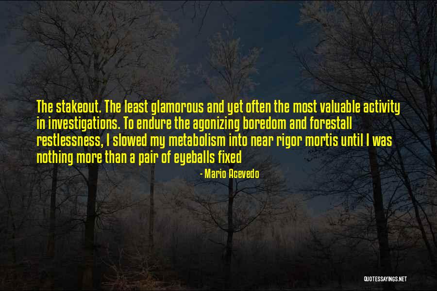 Crossbeams Quotes By Mario Acevedo Crossbeams Quotes By Mario Acevedo
