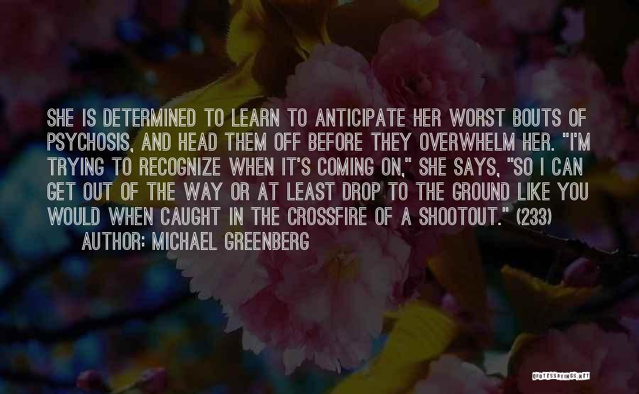 Crossfire Quotes By Michael Greenberg