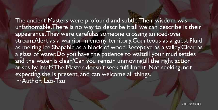 Crossing Over Quotes By Lao-Tzu