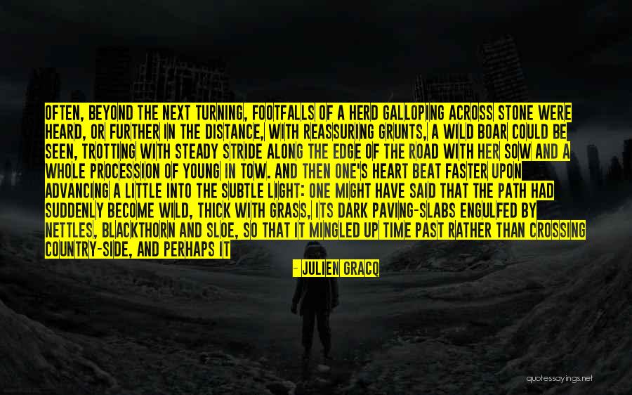 Crossing Path Quotes By Julien Gracq Crossing Path Quotes By Julien Gracq