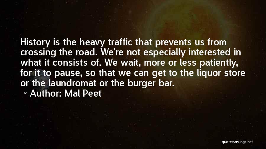 Crossing The Bar Quotes By Mal Peet