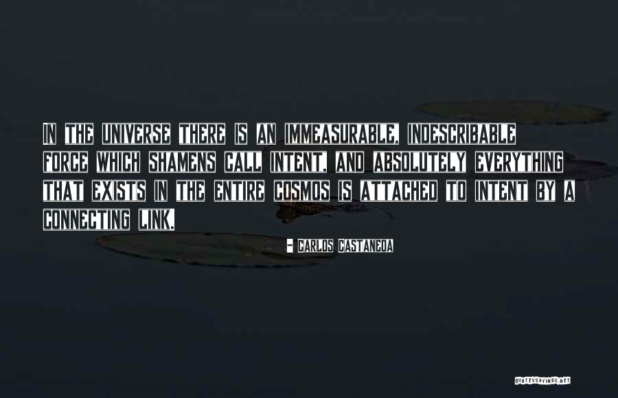 Crosson Skis Quotes By Carlos Castaneda Crosson Skis Quotes By Carlos Castaneda