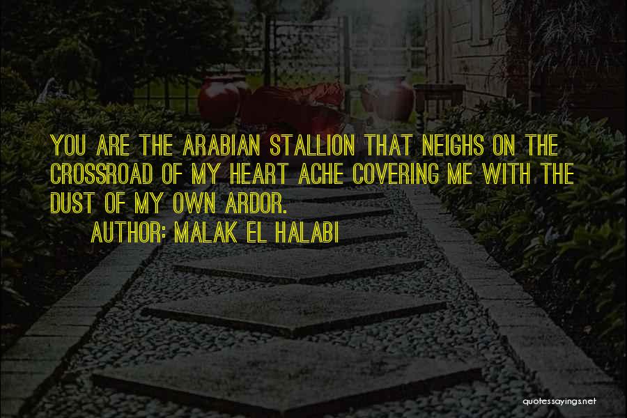 Crossroad Quotes By Malak El Halabi
