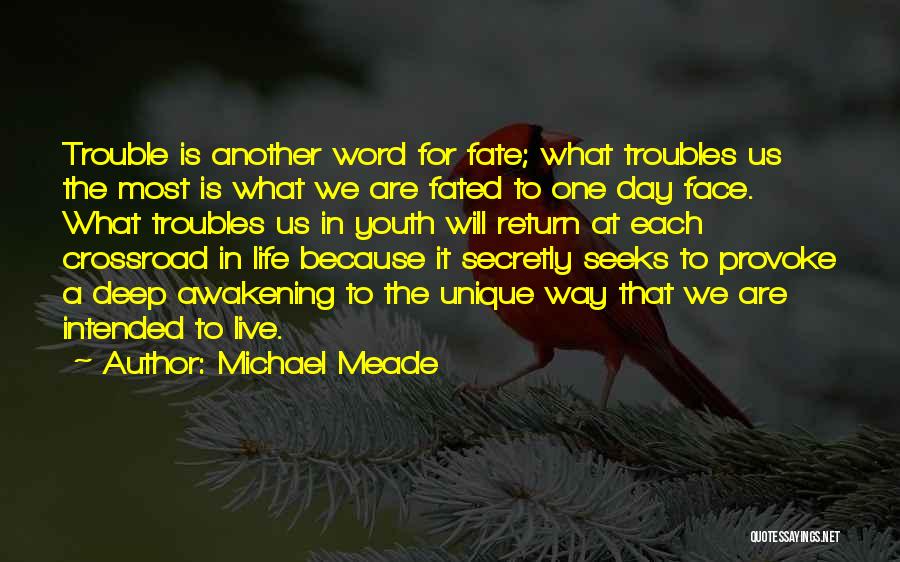 Crossroad Quotes By Michael Meade
