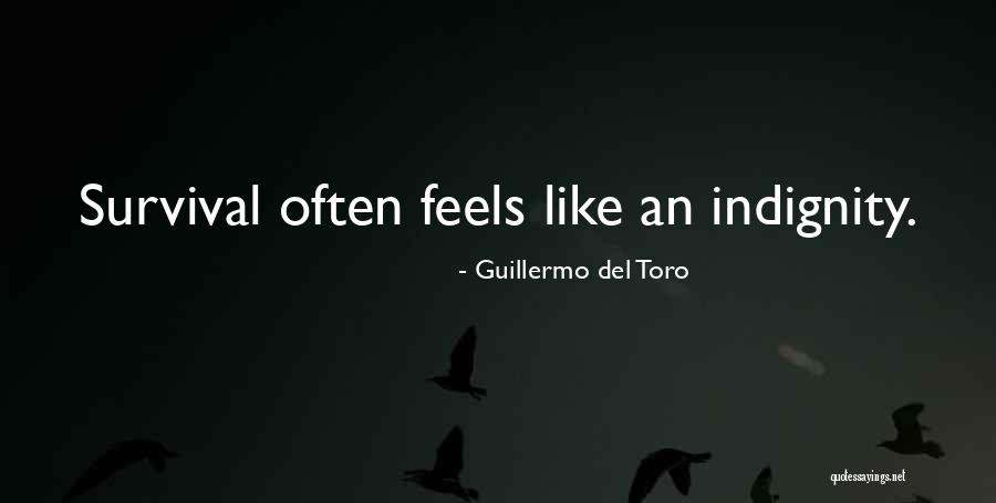 Crosswhite Construction Quotes By Guillermo Del Toro
