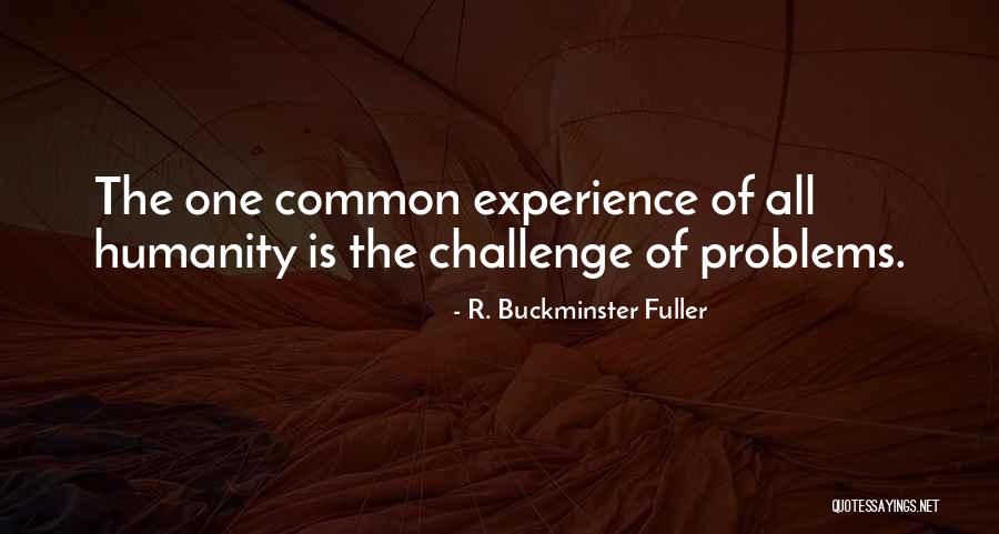 Crosswhite Construction Quotes By R. Buckminster Fuller