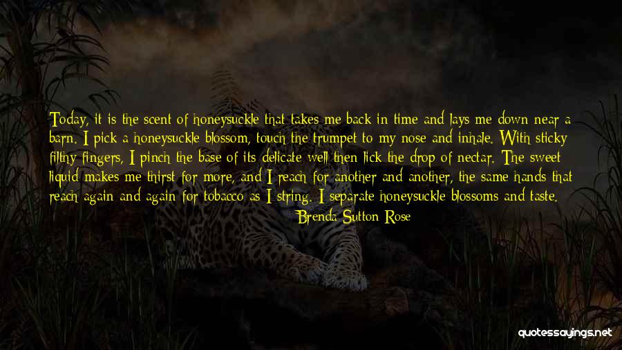 Croteau And Hoynes Quotes By Brenda Sutton Rose Croteau And Hoynes Quotes By Brenda Sutton Rose