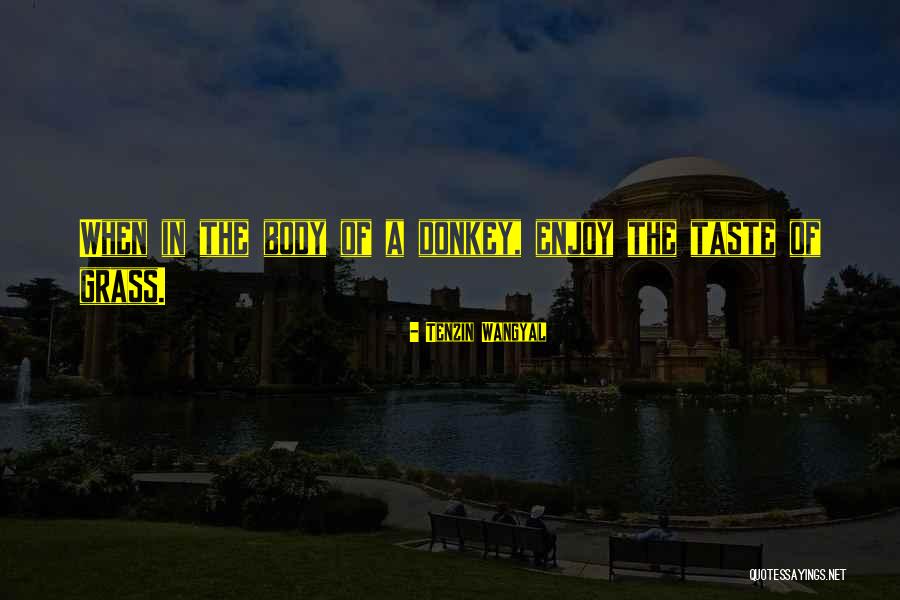 Croteau And Hoynes Quotes By Tenzin Wangyal Croteau And Hoynes Quotes By Tenzin Wangyal