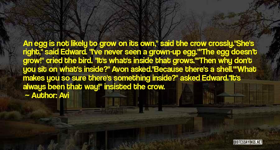 Crow Bird Quotes By Avi