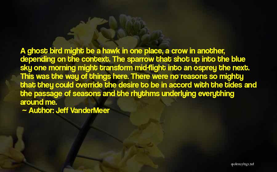 Crow Bird Quotes By Jeff VanderMeer