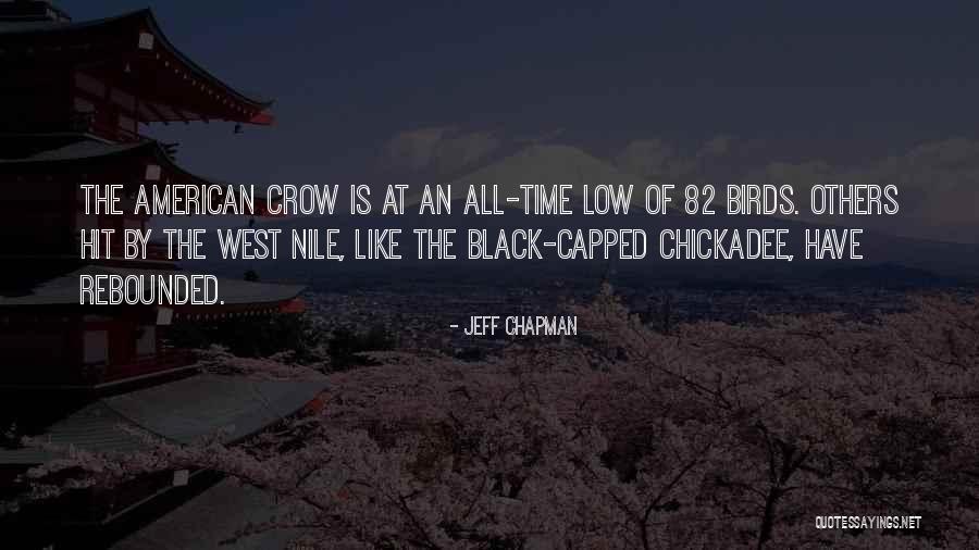 Crow Birds Quotes By Jeff Chapman Crow Birds Quotes By Jeff Chapman