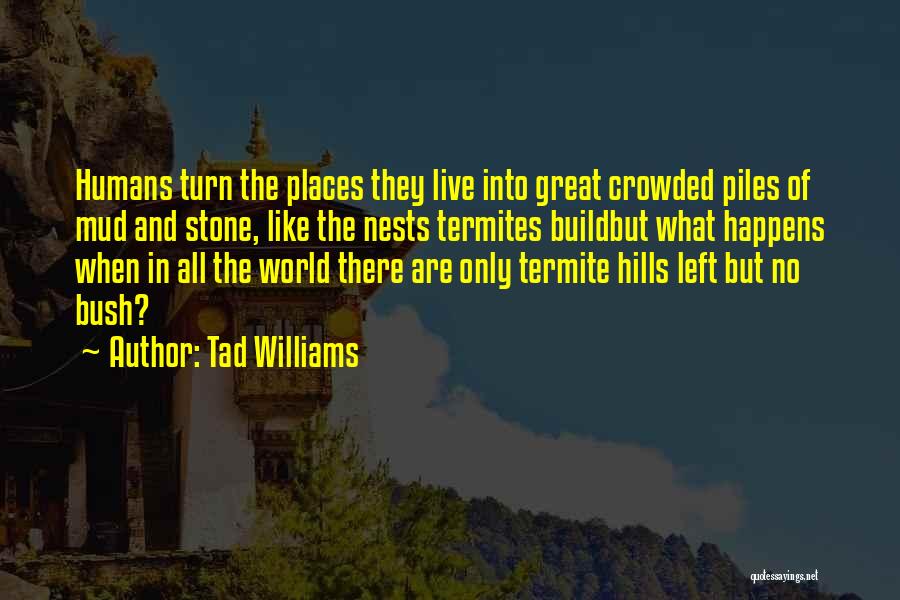 Crowded Places Quotes By Tad Williams