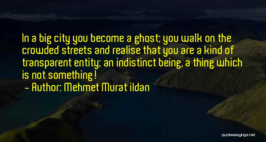 Crowded Streets Quotes By Mehmet Murat Ildan