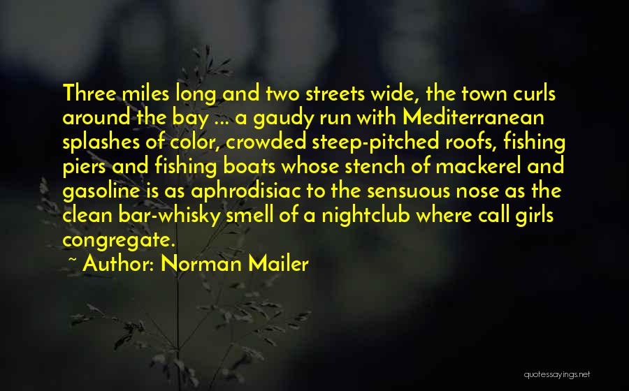 Crowded Streets Quotes By Norman Mailer