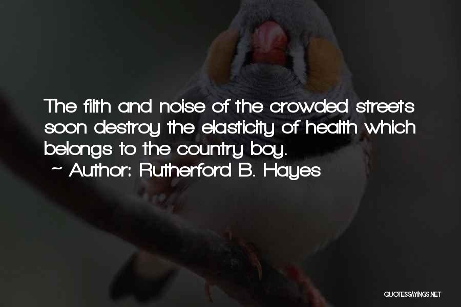 Crowded Streets Quotes By Rutherford B. Hayes