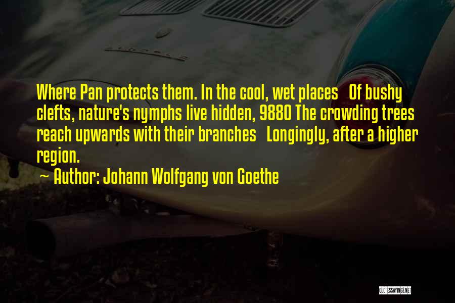 Crowding Out Quotes By Johann Wolfgang Von Goethe