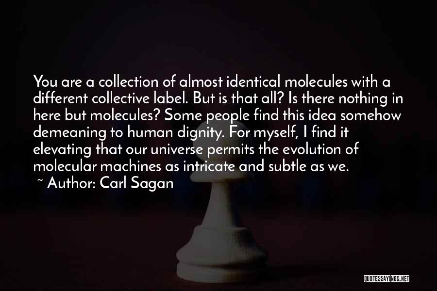 Crowdrise Pwf Quotes By Carl Sagan