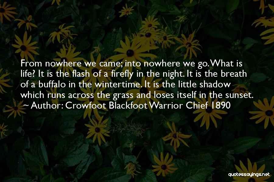 Crowfoot Blackfoot Warrior Chief 1890 Quotes 214028