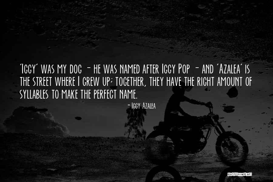 Crownless Lauhala Quotes By Iggy Azalea Crownless Lauhala Quotes By Iggy Azalea