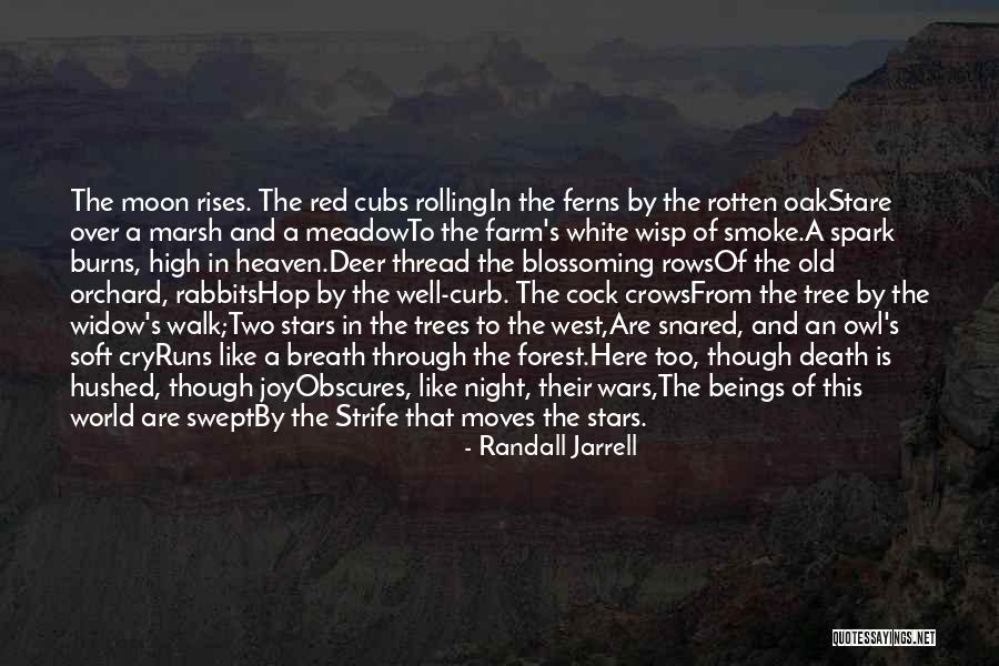 Crows And Death Quotes By Randall Jarrell Crows And Death Quotes By Randall Jarrell