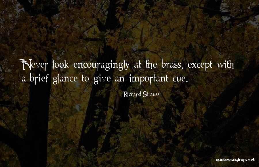 Crps Quotes By Richard Strauss Crps Quotes By Richard Strauss