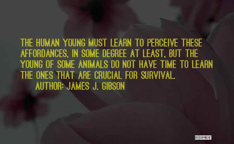 Crucial Time Quotes By James J. Gibson