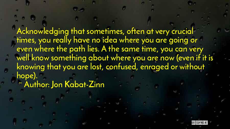 Crucial Time Quotes By Jon Kabat-Zinn