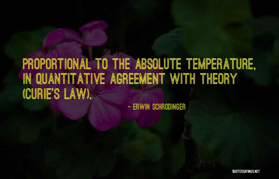 Crucible False Accusations Quotes By Erwin Schrodinger Crucible False Accusations Quotes By Erwin Schrodinger