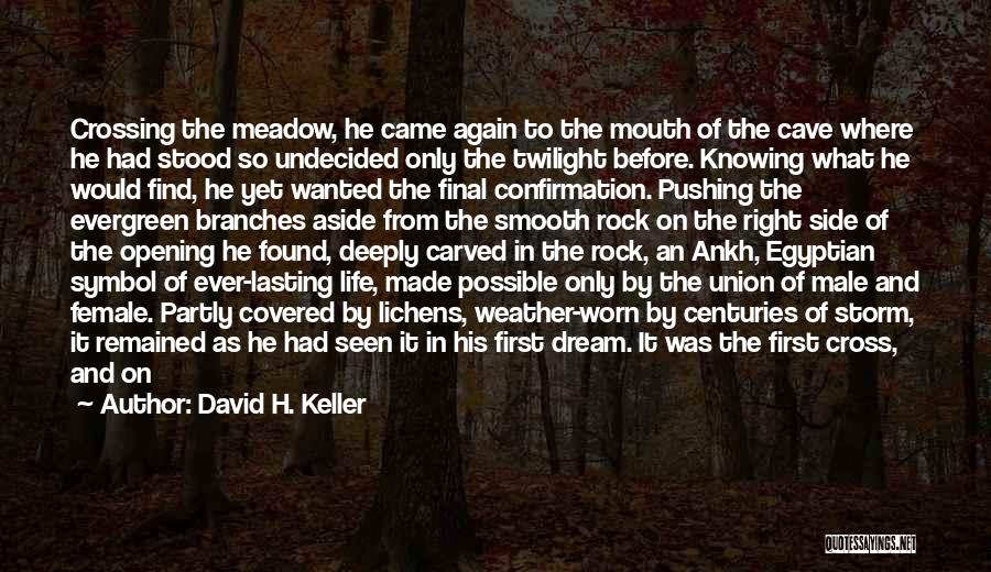 Crucified Life Quotes By David H. Keller