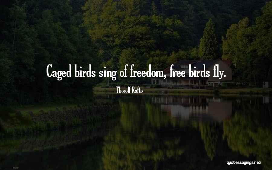 Crucifijos Con Quotes By Thorolf Rafto Crucifijos Con Quotes By Thorolf Rafto