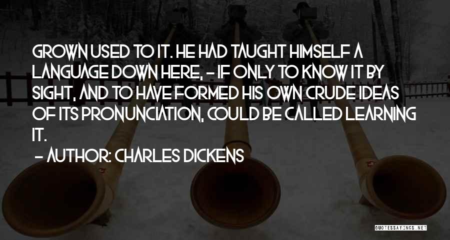 Crude Language Quotes By Charles Dickens