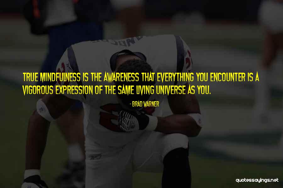 Crudely Offensive Quotes By Brad Warner Crudely Offensive Quotes By Brad Warner