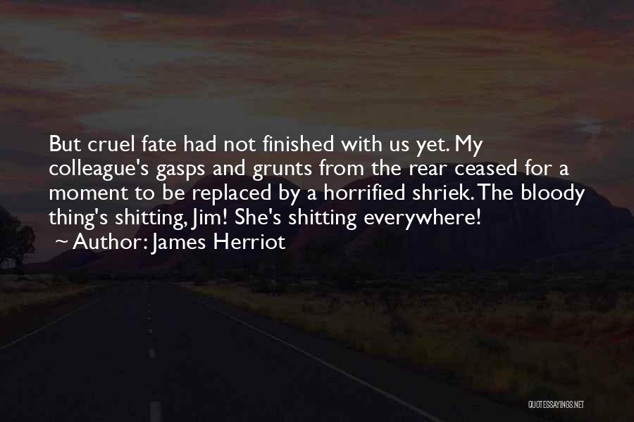 Cruel Fate Quotes By James Herriot