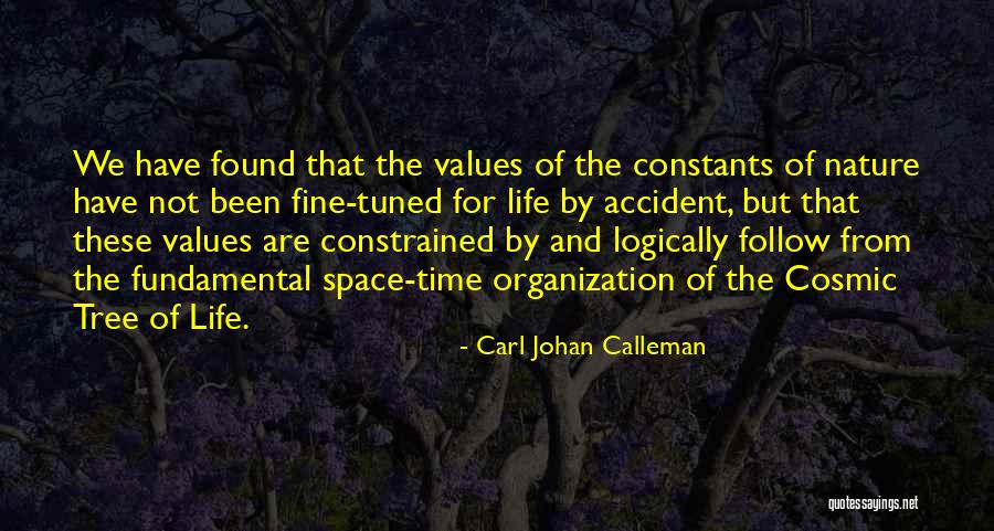 Crueldad Significado Quotes By Carl Johan Calleman Crueldad Significado Quotes By Carl Johan Calleman