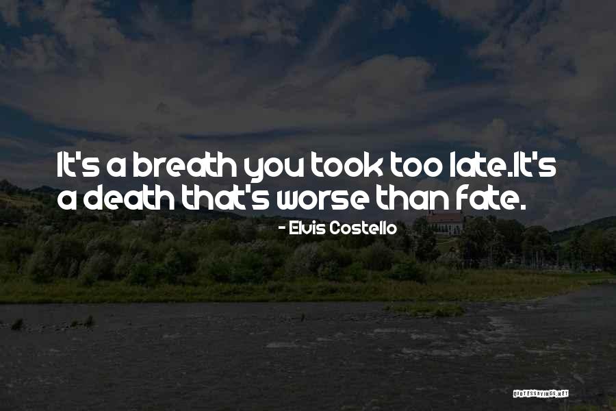 Cruelle Quotes By Elvis Costello Cruelle Quotes By Elvis Costello